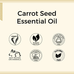 Aroma Treasures Carrot Seed Essential Oil (10ml)