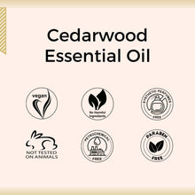 Load image into Gallery viewer, Aroma Treasures Cedarwood Essential Oil (10ml)