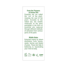 Load image into Gallery viewer, Aroma Treasures Rosemary Essential Oil (10ml)