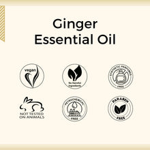 Load image into Gallery viewer, Aroma Treasures Ginger Essential Oil (10ml)