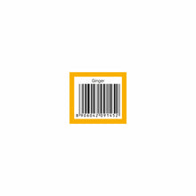 Load image into Gallery viewer, Aroma Treasures Ginger Essential Oil (10ml)