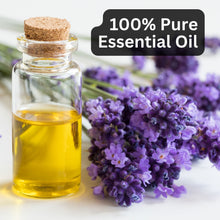 Load image into Gallery viewer, Aroma Treasures Lavender French Essential Oil (10ml)
