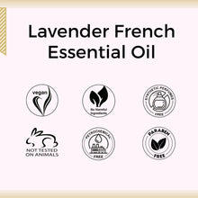 Load image into Gallery viewer, Aroma Treasures Lavender French Essential Oil (10ml)