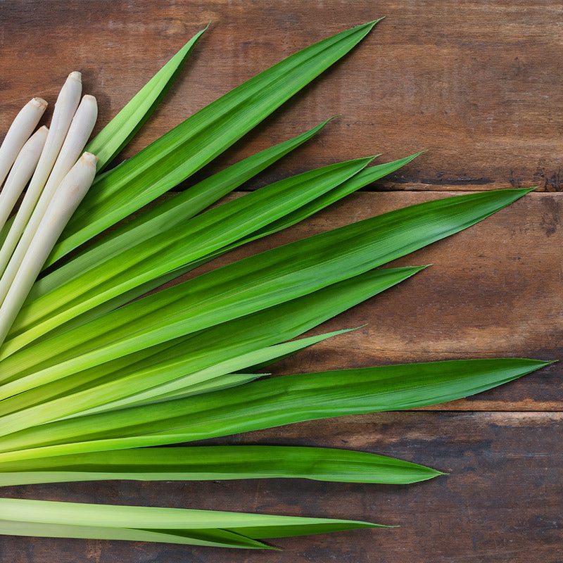 Ingredient Image