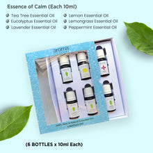 Load image into Gallery viewer, Aroma Treasures Essence of calm Essential Oils Set, 6 Pure Natural Oils - Tea Tree, Eucalyptus, Lavender, Lemon, Lemongrass, and Peppermint