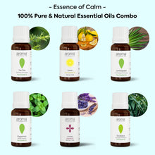 Load image into Gallery viewer, Aroma Treasures Essence of calm Essential Oils Set, 6 Pure Natural Oils - Tea Tree, Eucalyptus, Lavender, Lemon, Lemongrass, and Peppermint