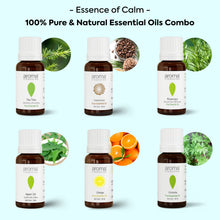 Load image into Gallery viewer, Aroma Treasures Vibrant Essence Essential Oils gift Set, 6 Bottles x 10ml