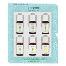 Load image into Gallery viewer, Aroma Treasures Vibrant Essence Essential Oils gift Set, 6 Bottles x 10ml