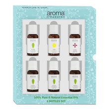 Load image into Gallery viewer, Aroma Treasures Essence of calm Essential Oils Set, 6 Pure Natural Oils - Tea Tree, Eucalyptus, Lavender, Lemon, Lemongrass, and Peppermint