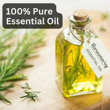 Load image into Gallery viewer, Aroma Treasures Rosemary Essential Oil (10ml)