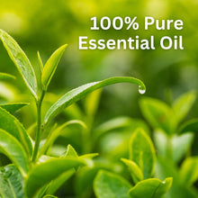 Load image into Gallery viewer, Aroma Treasures Tea Tree Essential Oil (10ml) - Aroma Treasures.com
