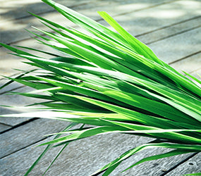 Ingredient Image