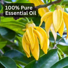Load image into Gallery viewer, Aroma Treasures Ylang Ylang Essential Oil (10ml)