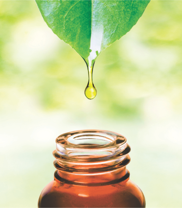 Extraction of Essential Oils