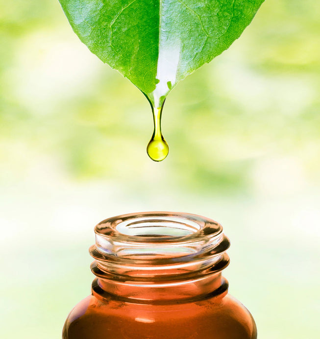 Essential Oils - What All You Need To Know