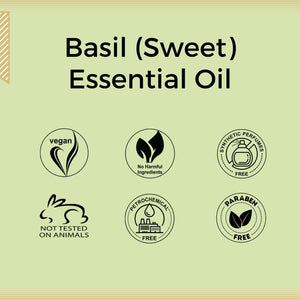 Aroma Treasures Basil (Sweet) Essential Oil (10ml)