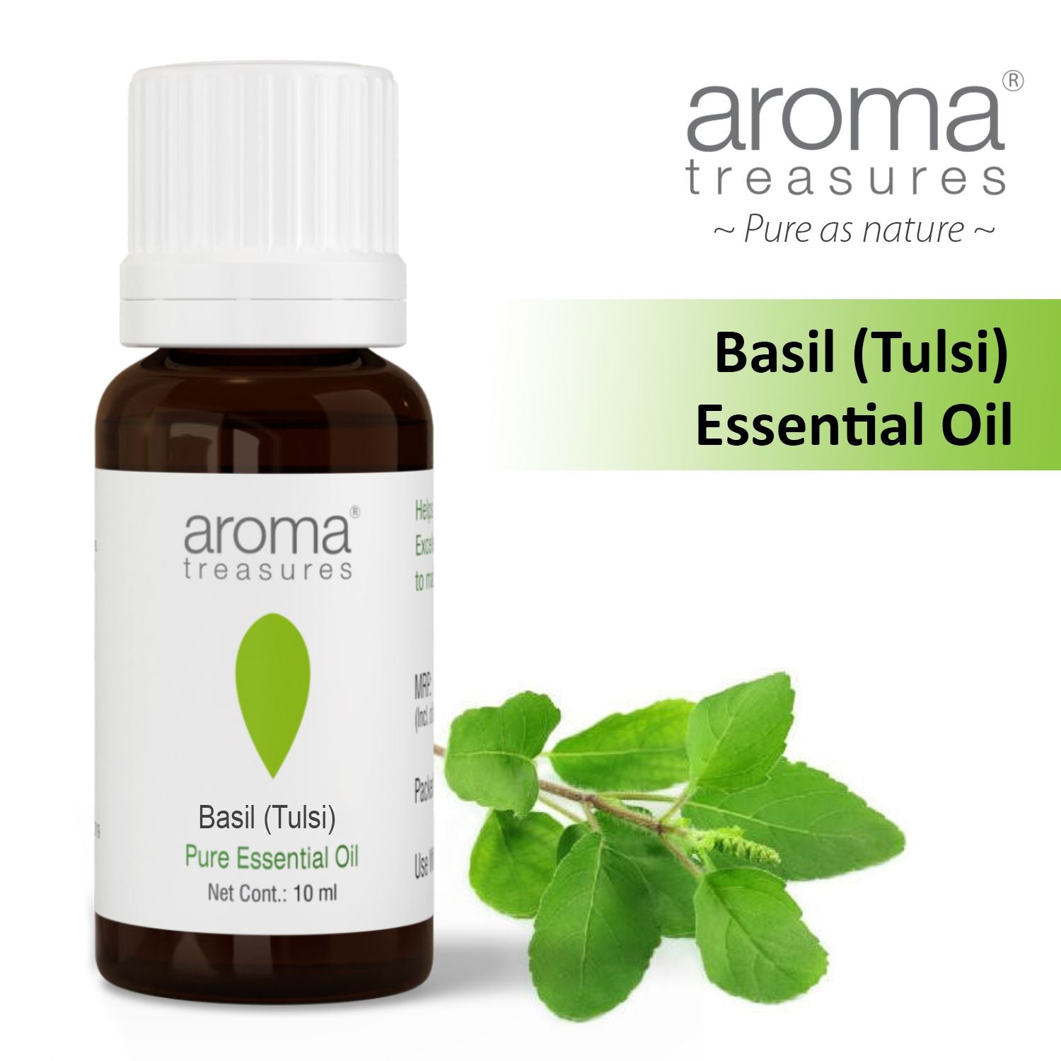 Aroma Treasures Basil (Tulsi) Essential Oil (10ml)