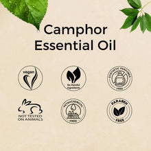 Load image into Gallery viewer, Aroma Treasures Camphor Essential Oil (10ml)