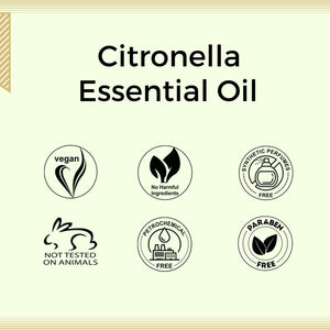 Aroma Treasures Citronella Essential Oil (10ml)