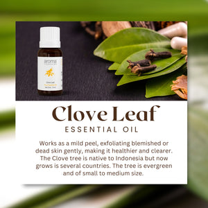 Aroma Treasures Clove Leaf Essential Oil - (10ml)