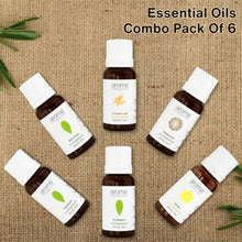Load image into Gallery viewer, Essential Oils combo Pack Of 6 - Aroma Treasures.com