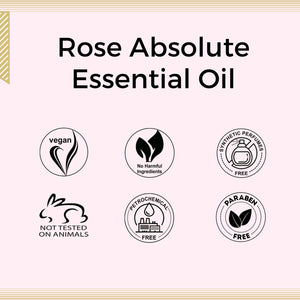 Aroma Treasures Rose Absolute Essential Oil (10% in Jojoba Oil) - 5ml