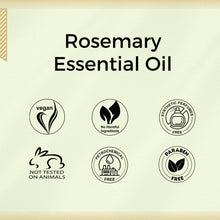 Load image into Gallery viewer, Aroma Treasures Rosemary Essential Oil (10ml)