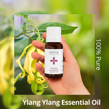 Load image into Gallery viewer, Aroma Treasures Ylang Ylang Essential Oil (10ml)